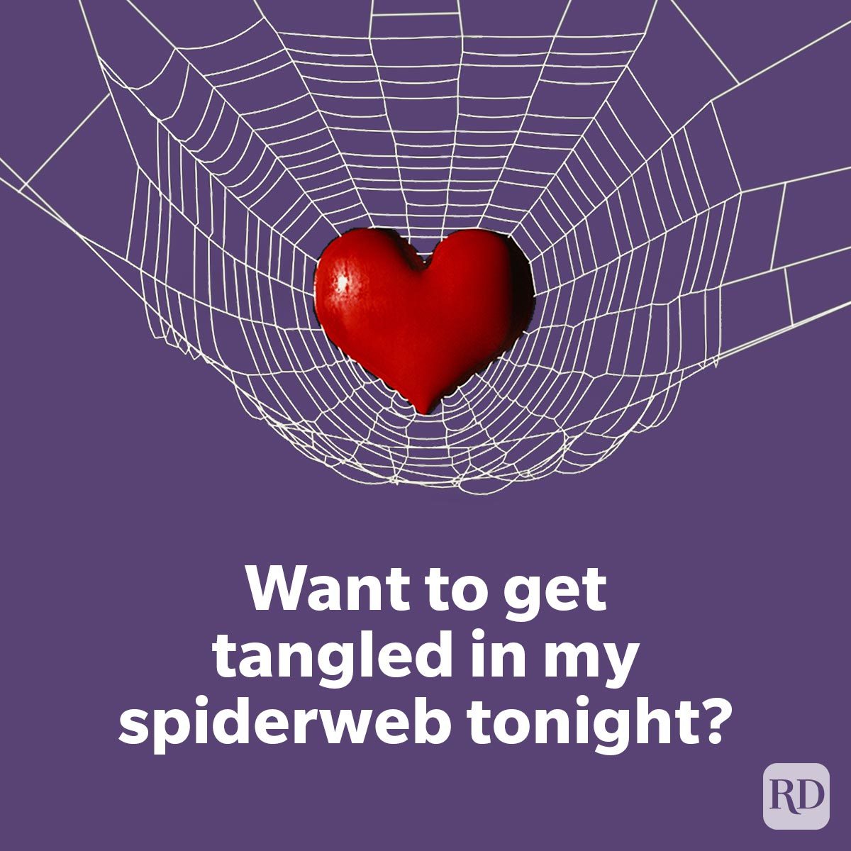 Halloween Pickup Lines For Your New Boo Want to get tangled in my spiderweb tonight on purple background