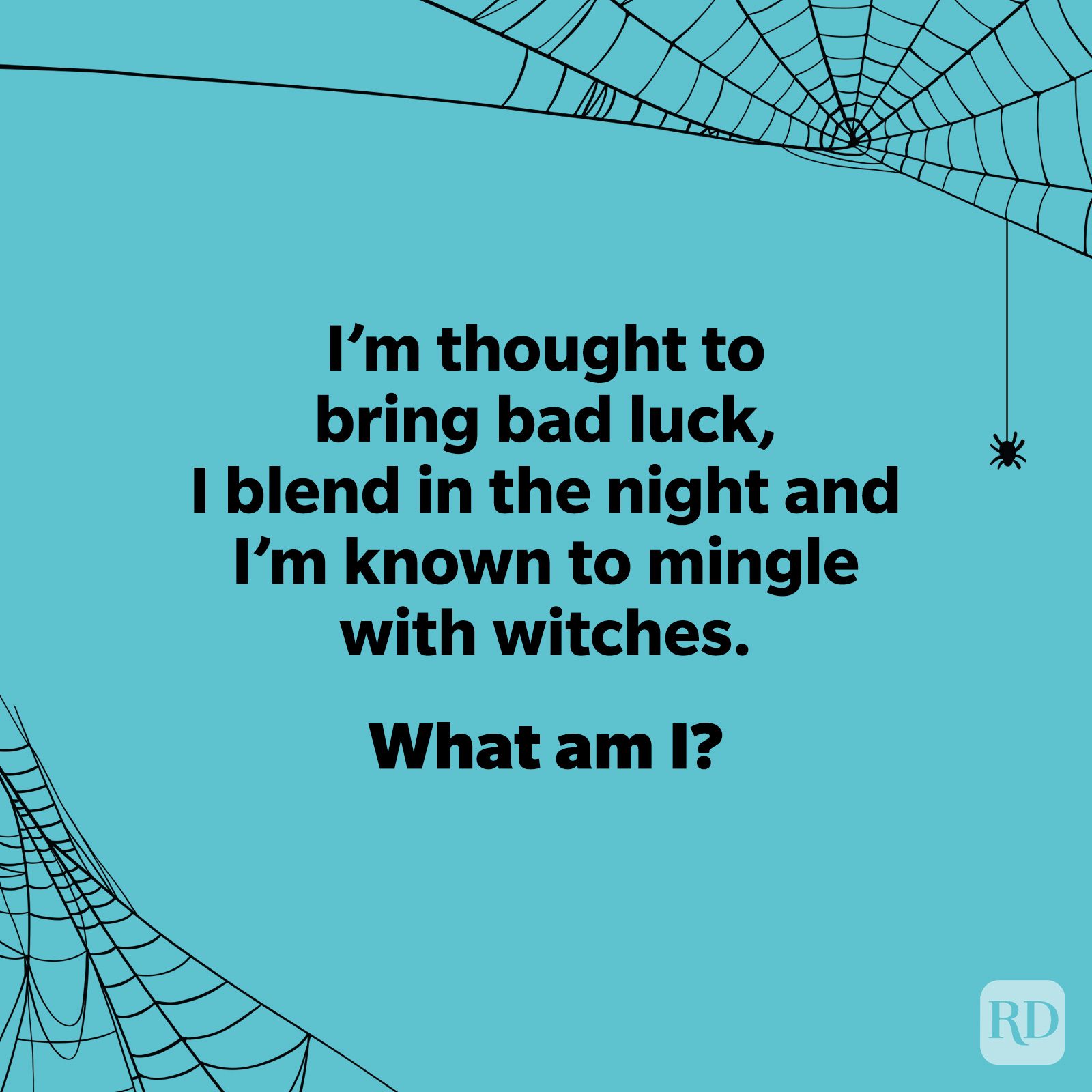 Halloween Riddles About Witches