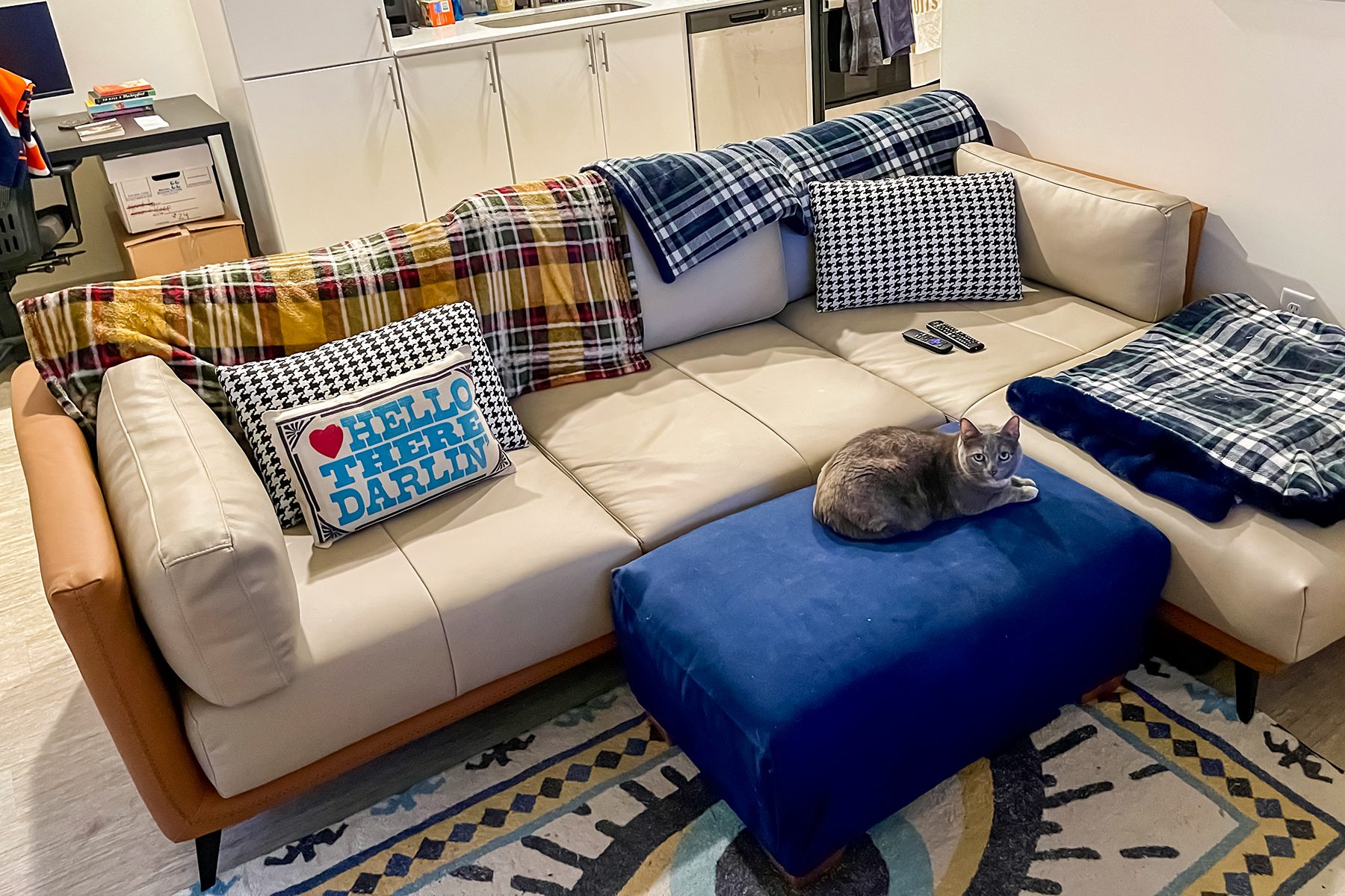 25 Home Modern Leather Sectional