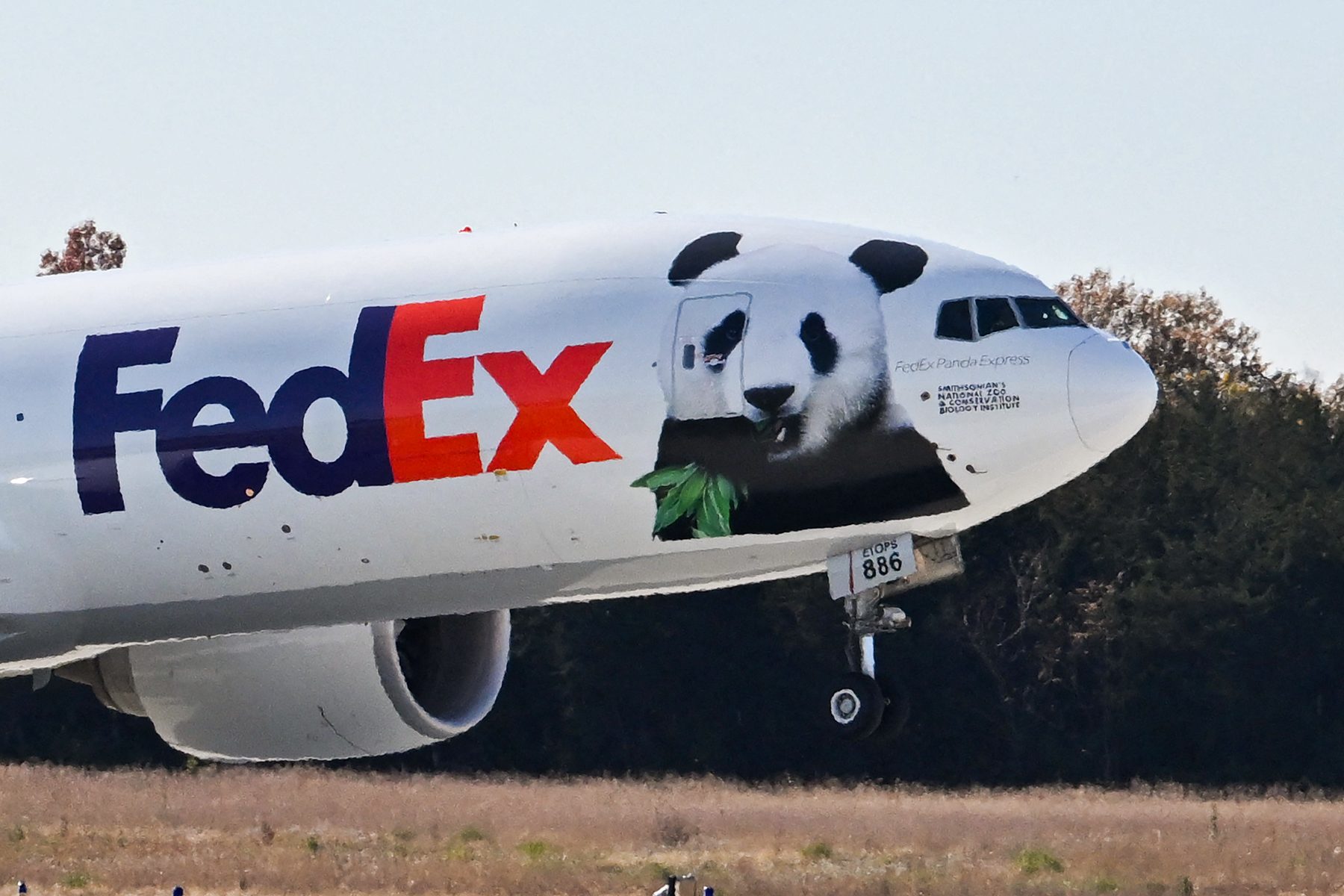 10 Things To Know About The Pandas At The National Zoo