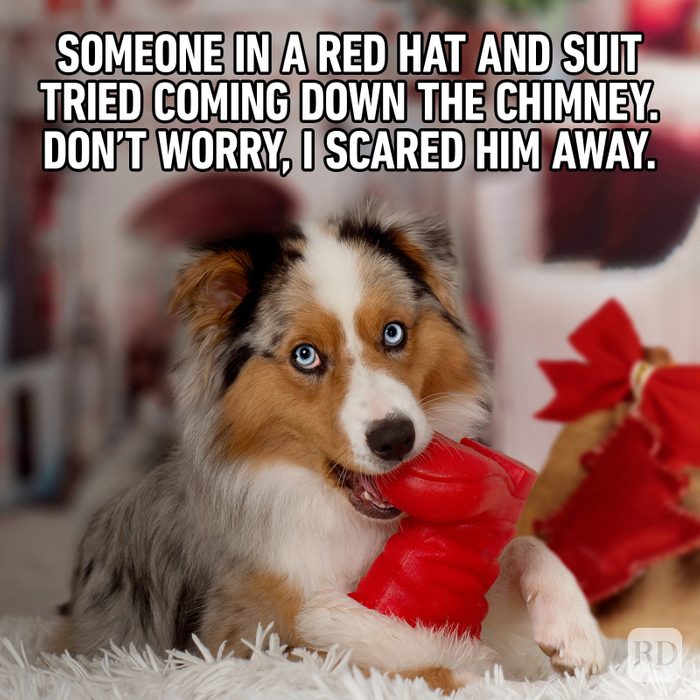 40 Funny Christmas Memes That Deliver The Holiday Humor