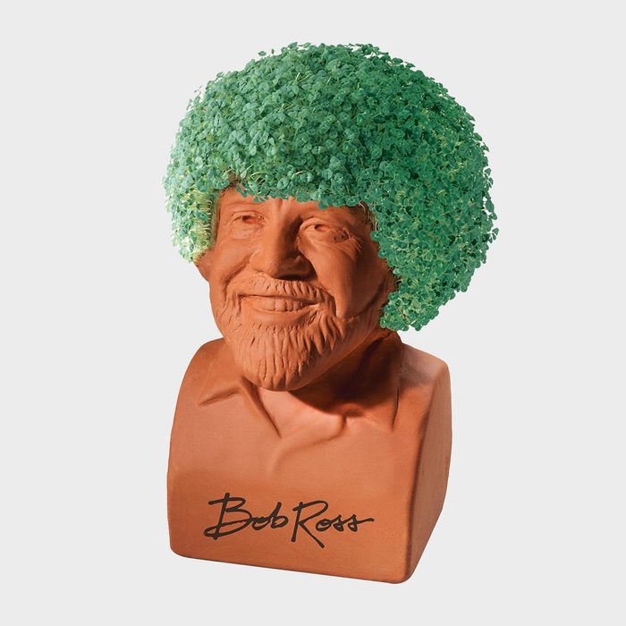 Bob Ross Chia Head Ecomm Via Amazon.com