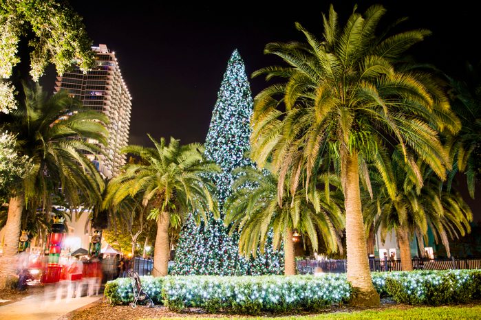 Christmas Tree, Orlando Florida