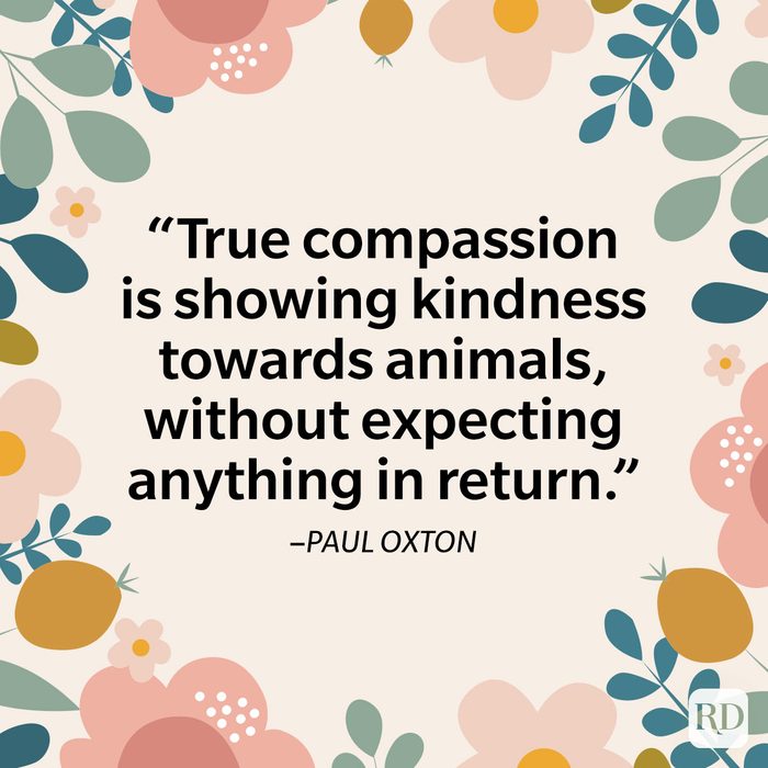 Kindness Quotes About Animals