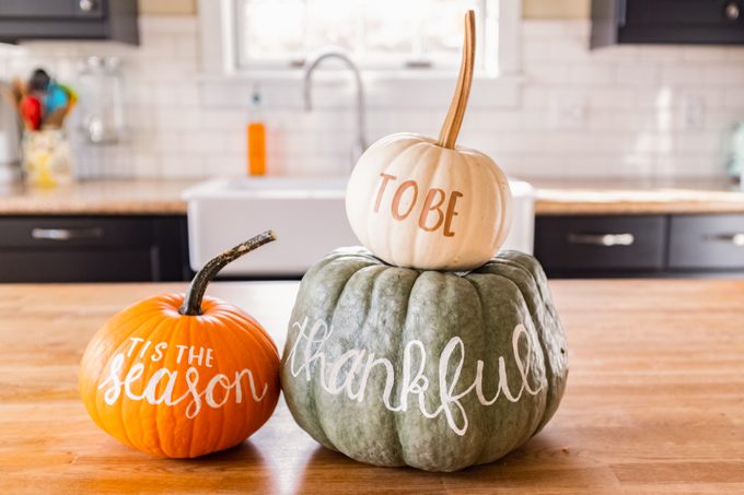 November Holidays And Observances To Celebrate Year After Year