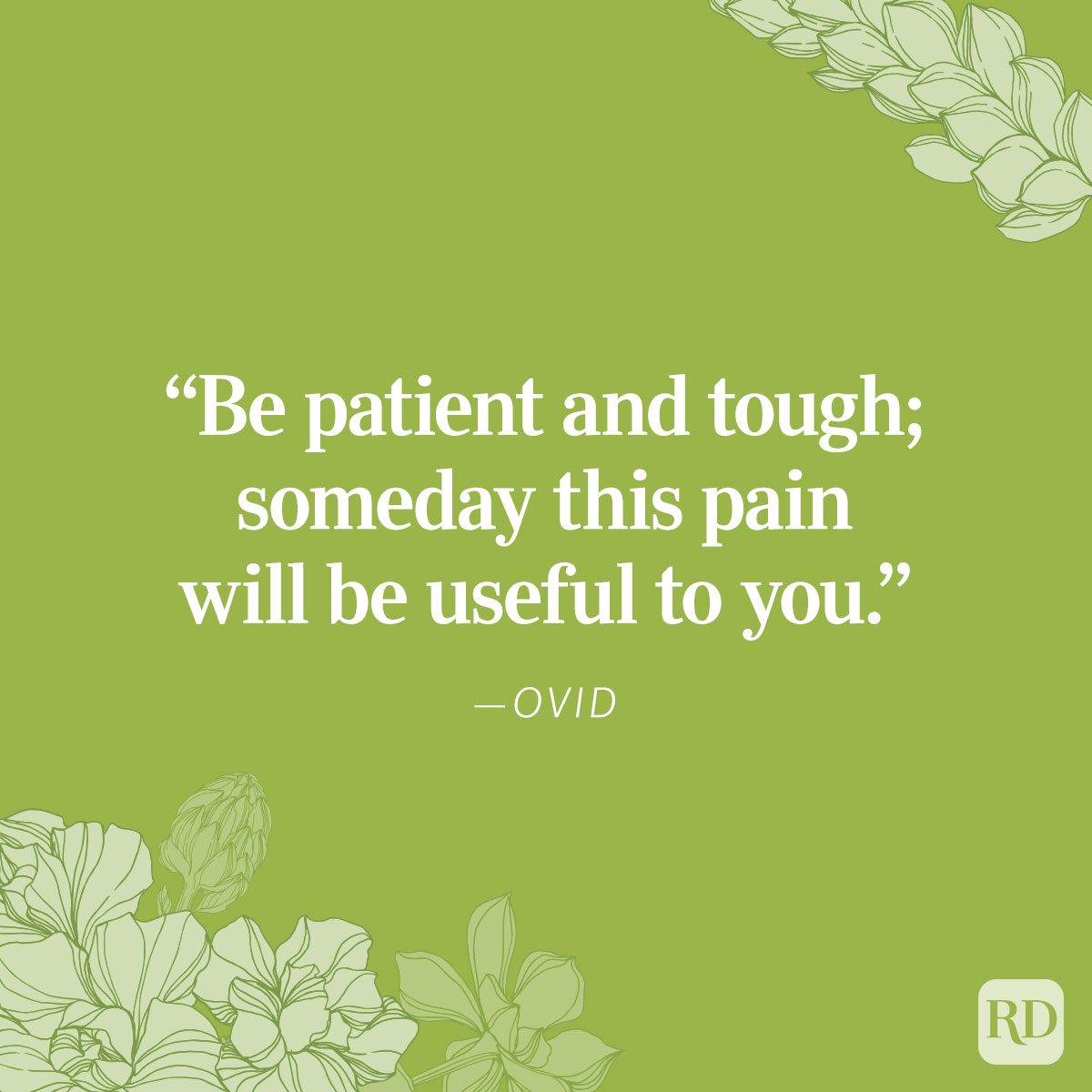 Quotes About Patience