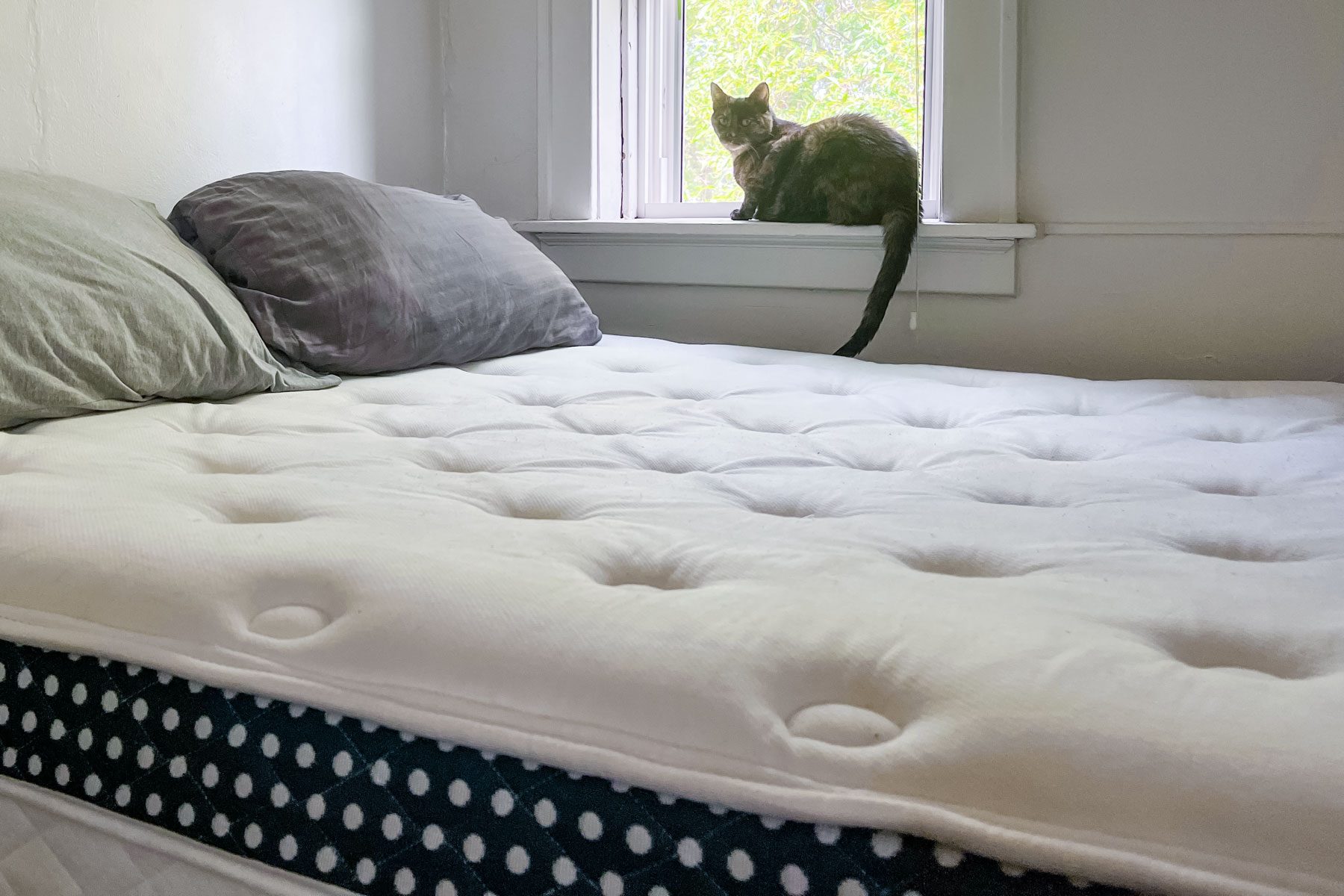 I’ve Been Sleeping on The WinkBed Mattress for 3 Months—Here’s My Review on the Cooling Bed