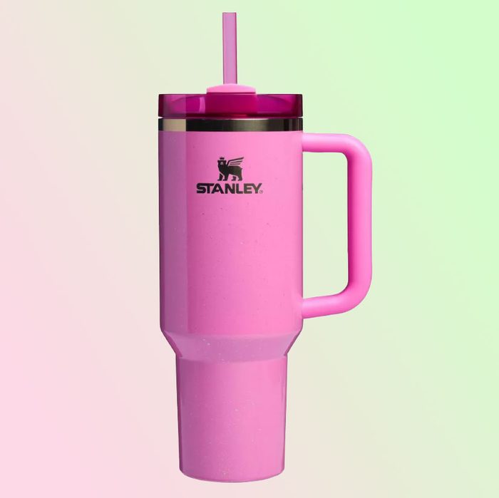 Stanley 40 Oz Stainless Steel H2.0 Flowstate Quencher Tumbler Wicked