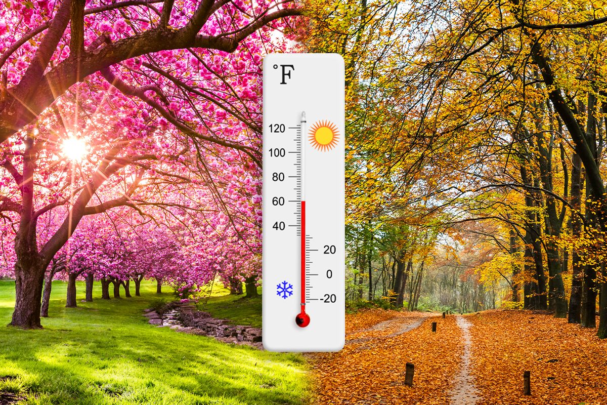 Why 60 Degrees Feels Colder in the Fall than the Spring