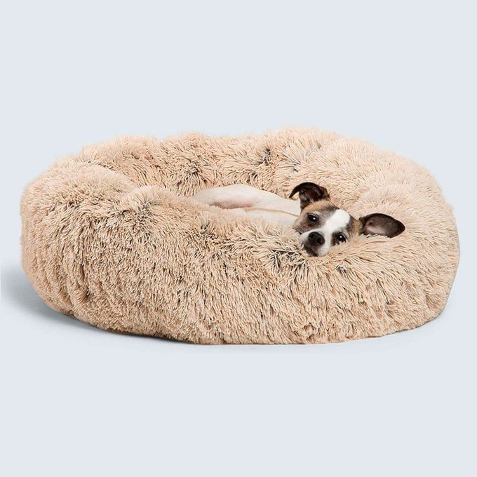 Best Friends By Sheri The Original Calming Donut Cat And Dog Bed In Shag Fur Via Amazon 1