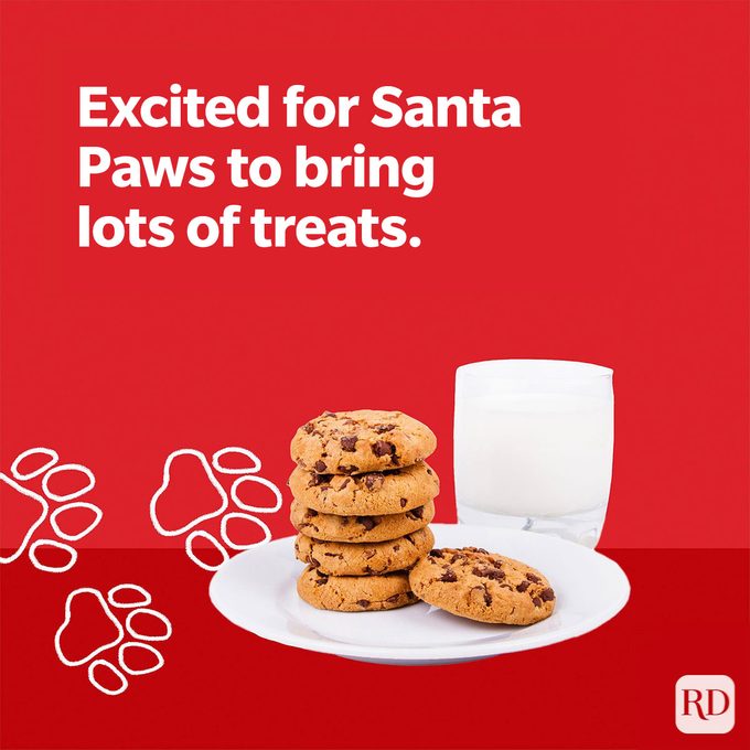 "Excited for Santa Paws to bring lots of treats." Pawprints leading to milk and cookies
