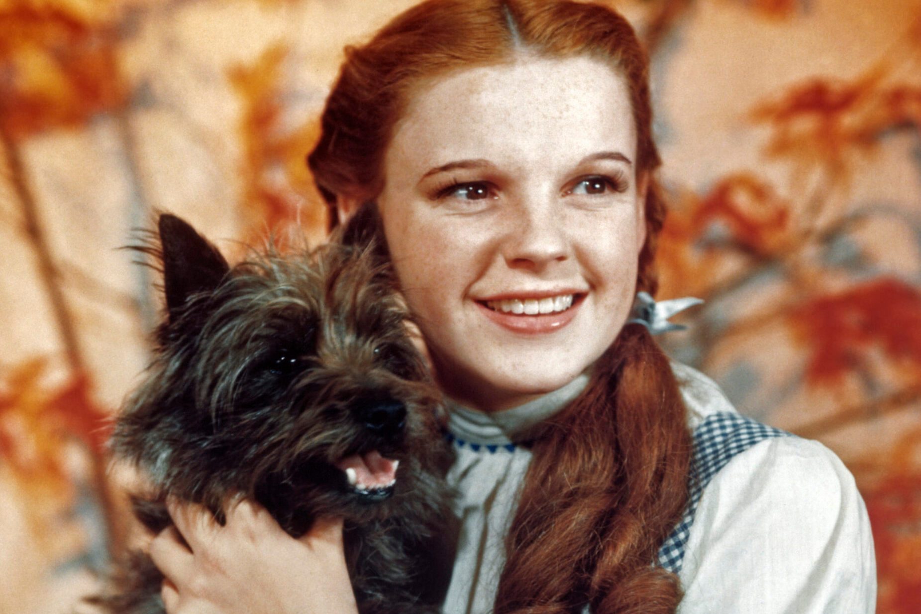 Judy Garland, as character Dorothy Gale, holds Toto in a publicity still for 'The Wizard of Oz'.