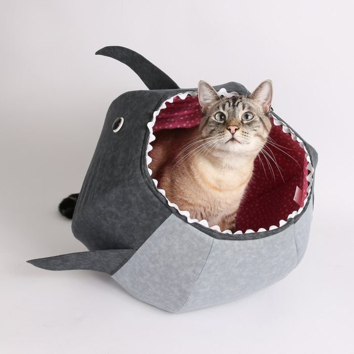 Great White Shark Cat Ball Ecomm Via Etsy.com 
