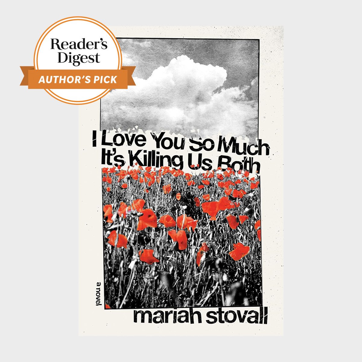 I Love You So Much It's Killing Us Both A Novel