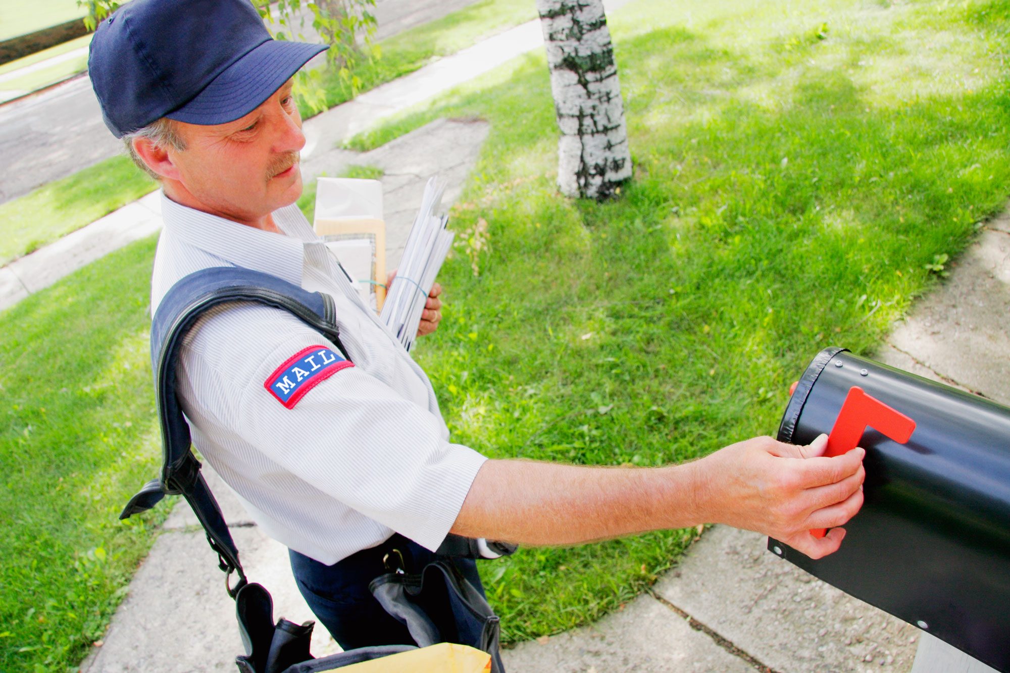 Mail Carrier At Work