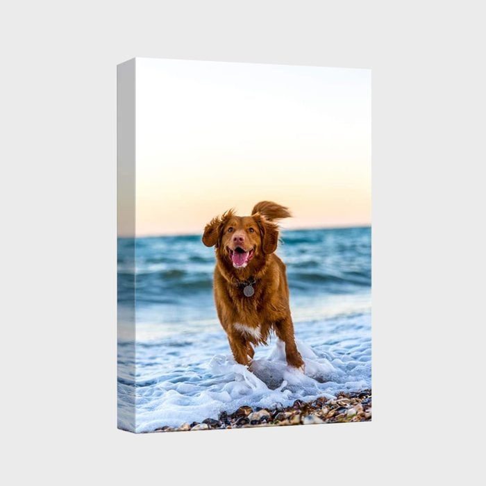 Nwt Custom Canvas Prints Via Amazon.com 