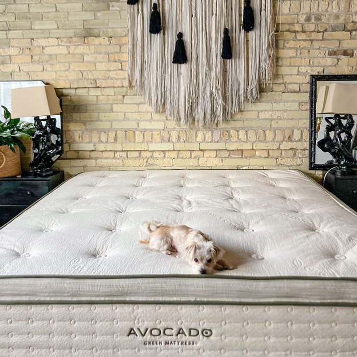 Rda24 Avocado Ultimate Organic Mattress Megan Wood 01 Otedit