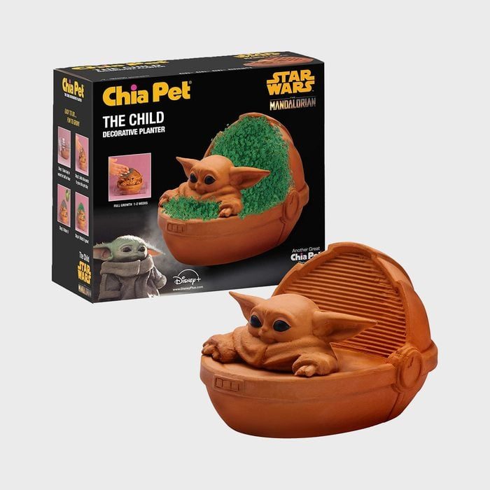 The Child Chia Pet Via Amazon.com 