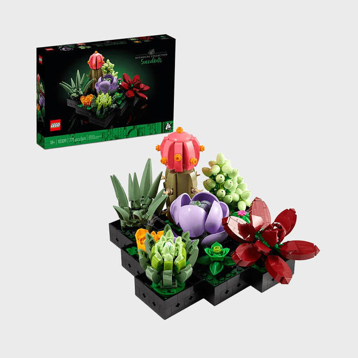 Lego Icons Succulents Building St Ecomm Via Amazon.com 