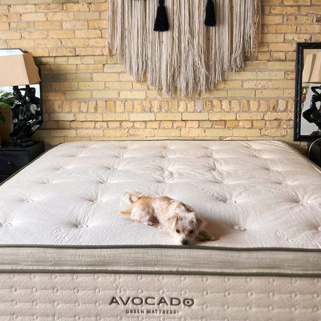 Avocado Green Mattress