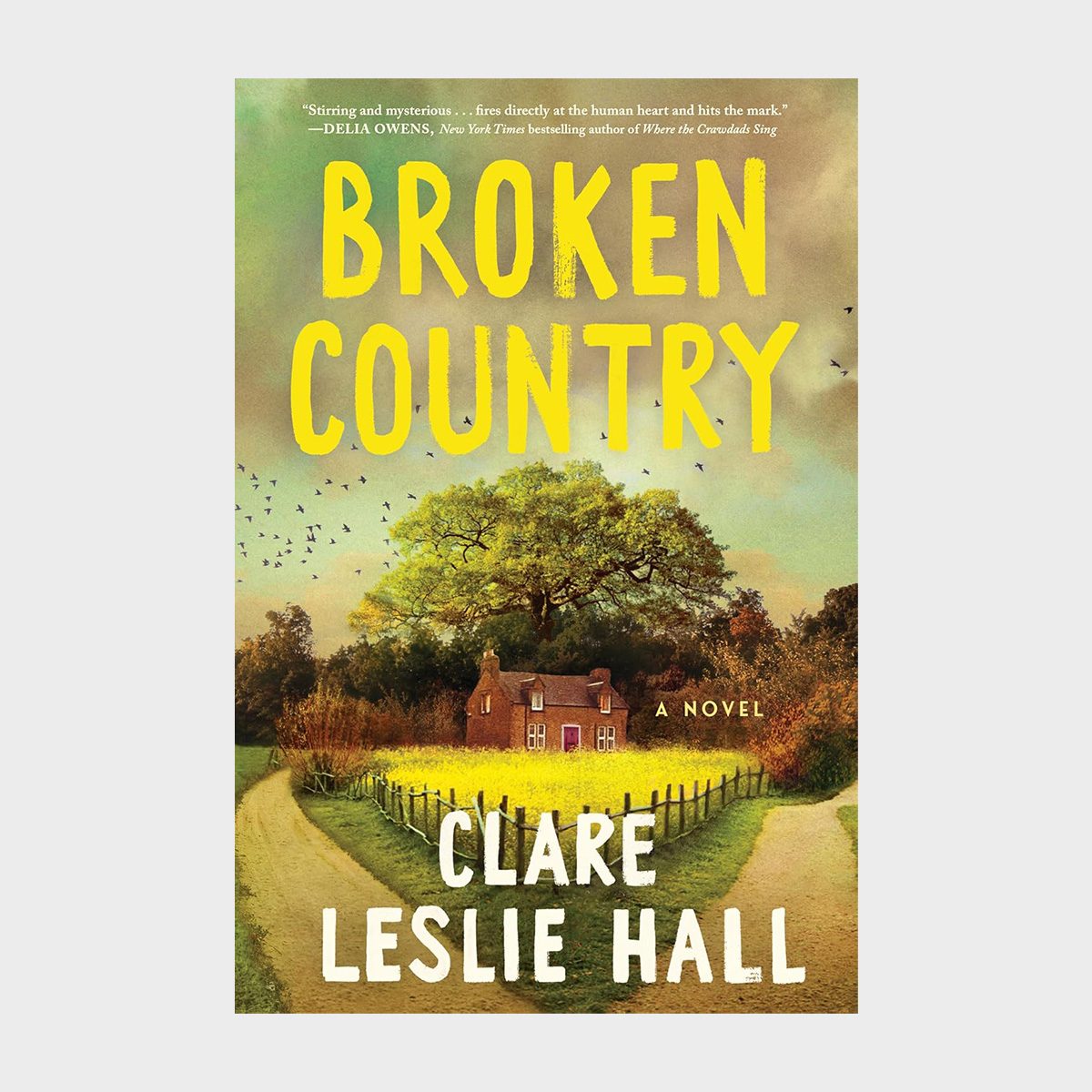 Broken Country By Clare Leslie Hall 