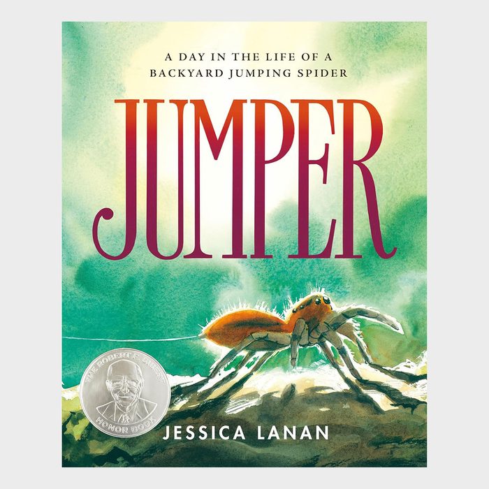 Jumper