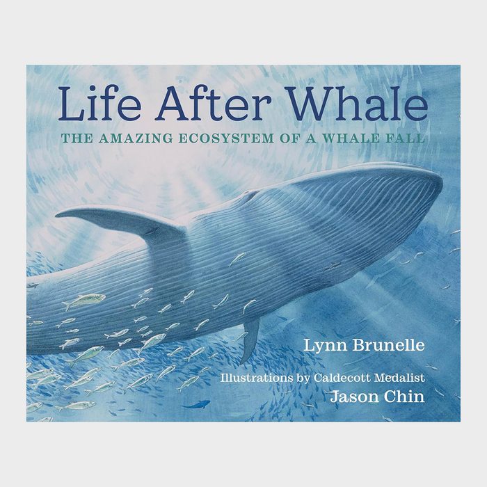 Life After Whale