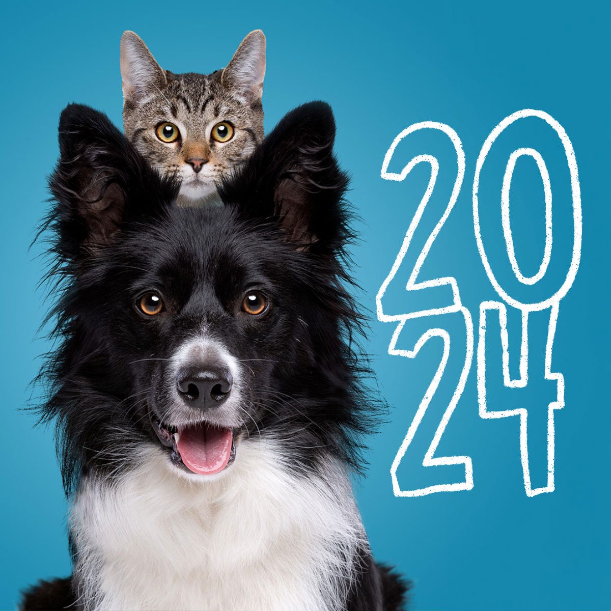 Most Popular Pet Names Of 2024