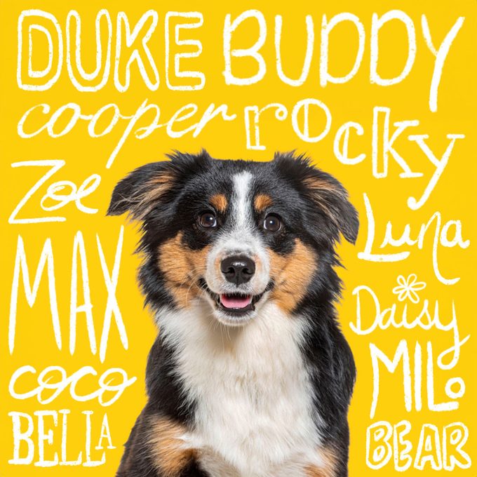 Most Popular Dog Names Of 2024