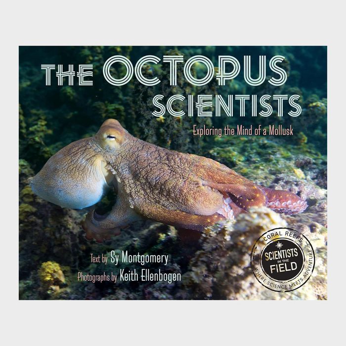 The Octopus Scientists By Sy Montgomery, Illustrated By Keith Ellenbogen