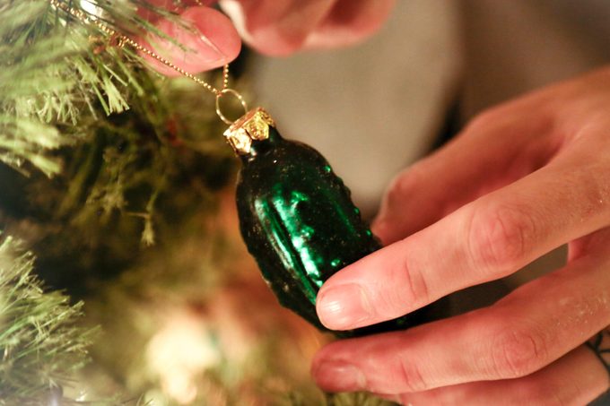 What's A Christmas Spider