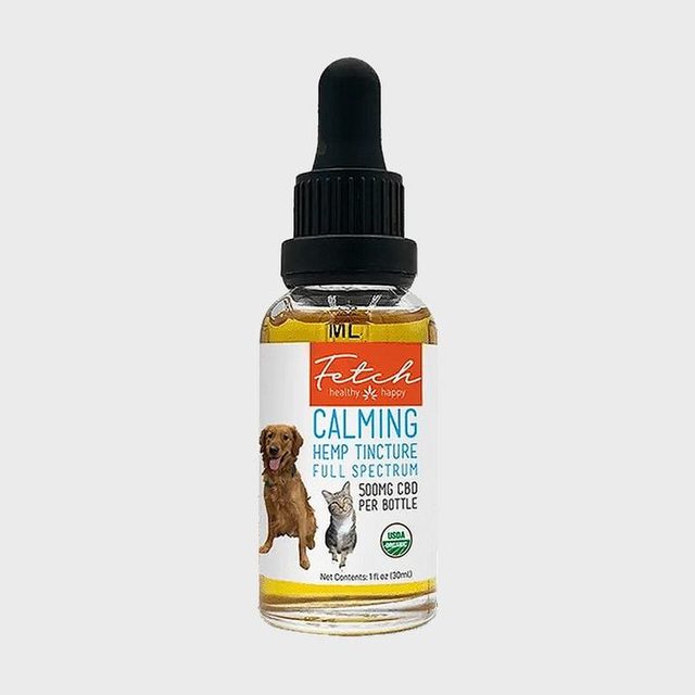 Cbd Treats For Dogs Fetch–cbd For Pets From Extract Labs Ecomm Via Extractlabs.com 