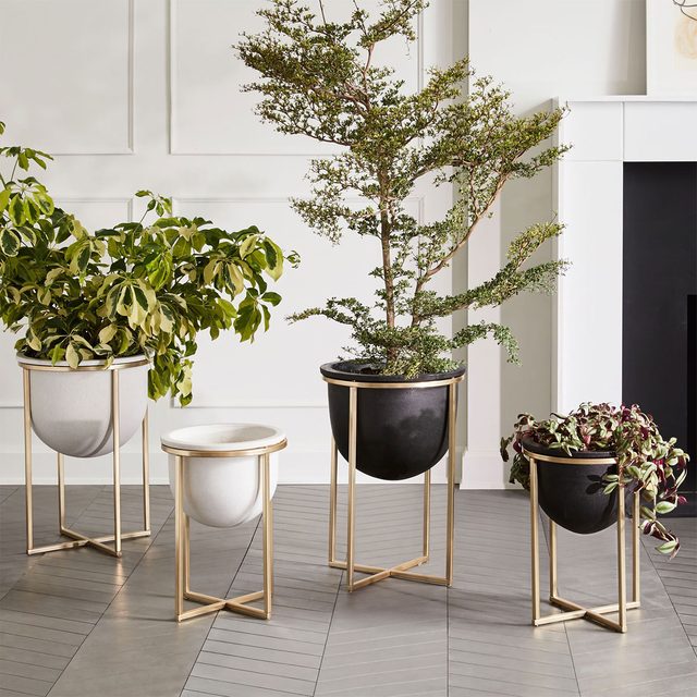 Eden Cross Base Standing Planter