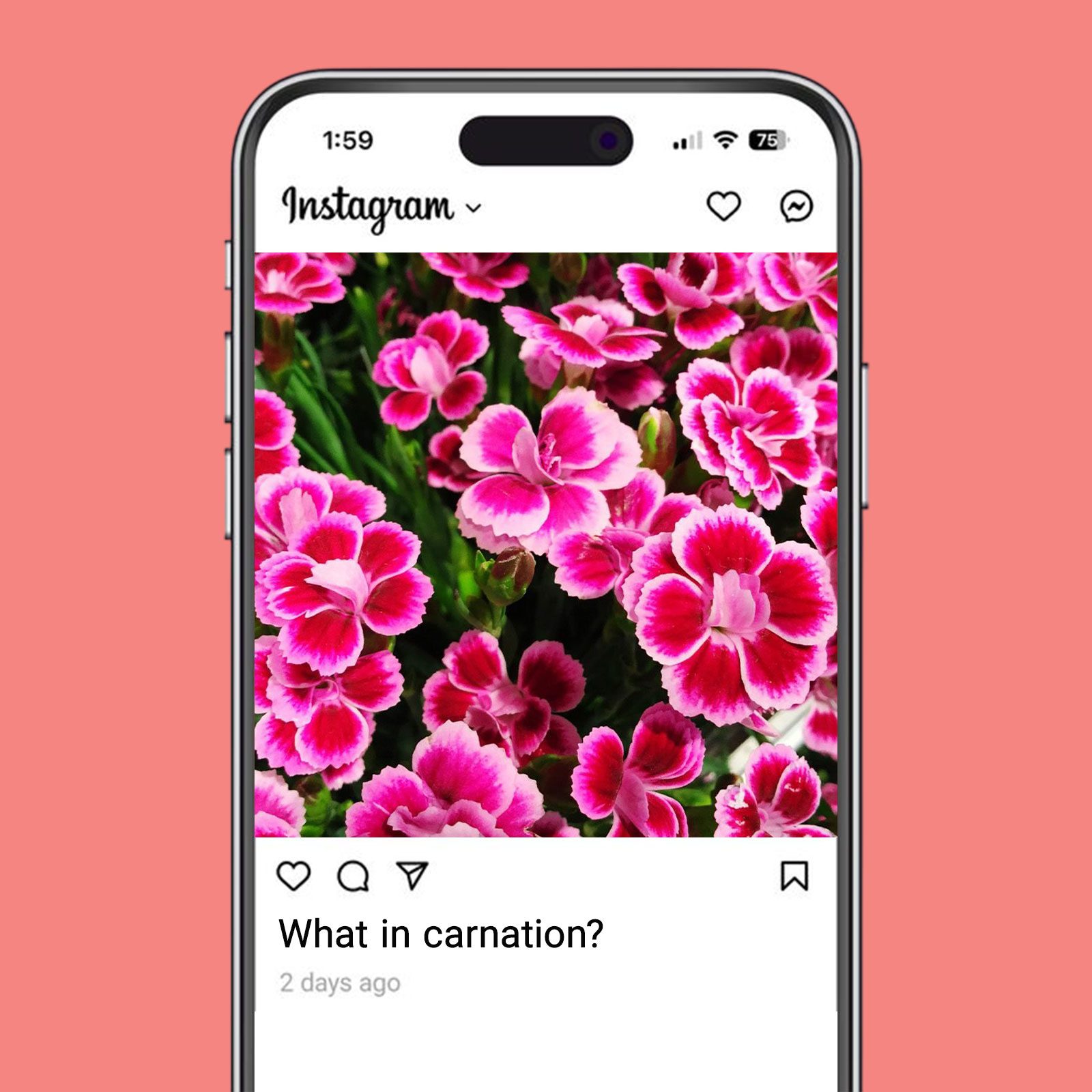 Funny Spring Captions