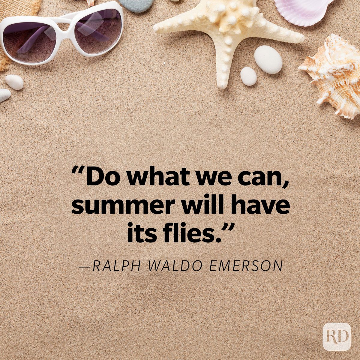 Funny Summer Quotes