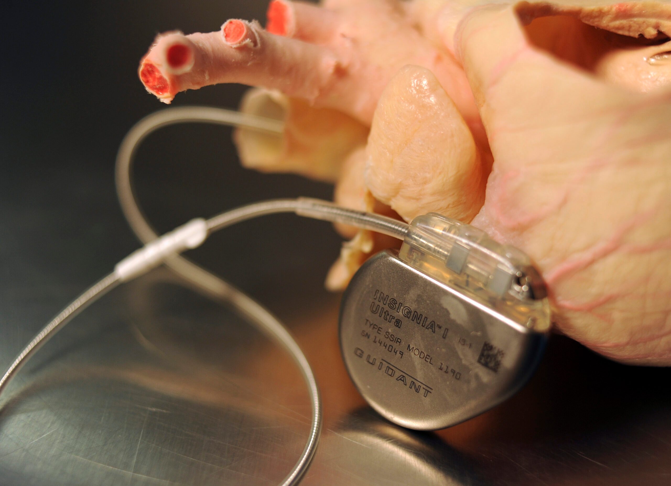 Pacemaker next to a heart model in a veterinary hospital