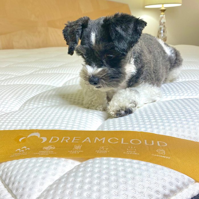 Rda25 The Dreamcloud Premier Rest Mattress Jill Schildhouse 01 Ssedit