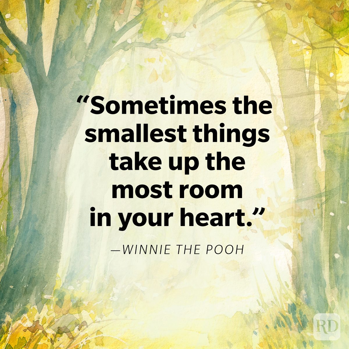 Winnie The Pooh Quote on watercolour painting of beautiful forest