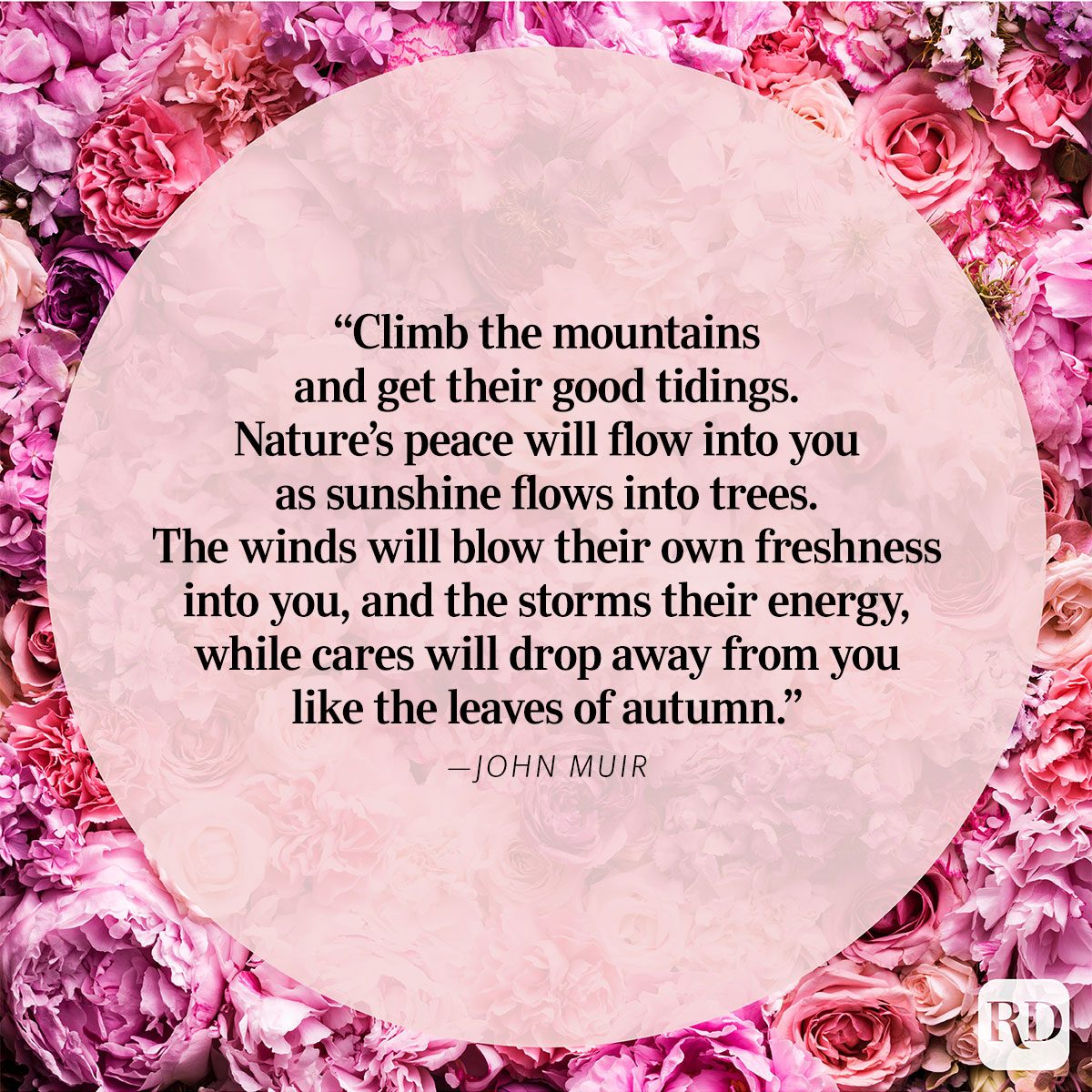 Nature Quote By John Muir