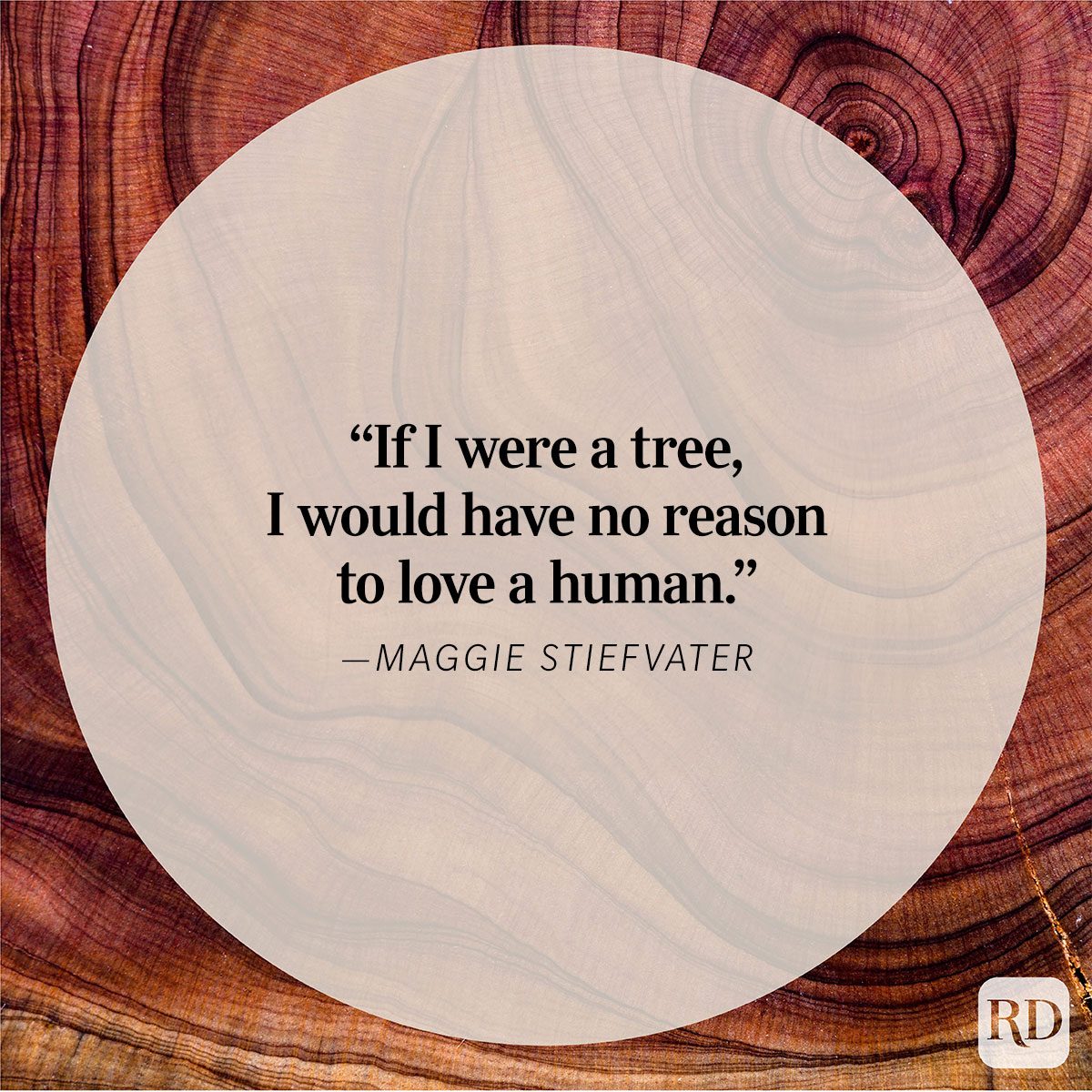 Nature Quote By Maggie Stiefvater
