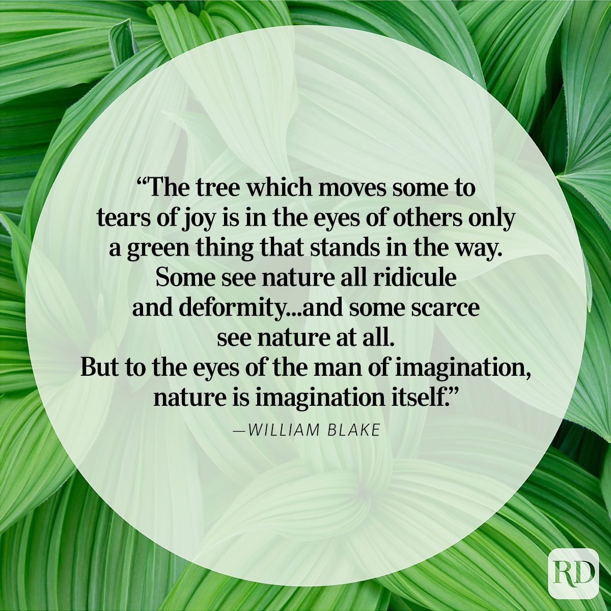 Nature Quote by William Blake