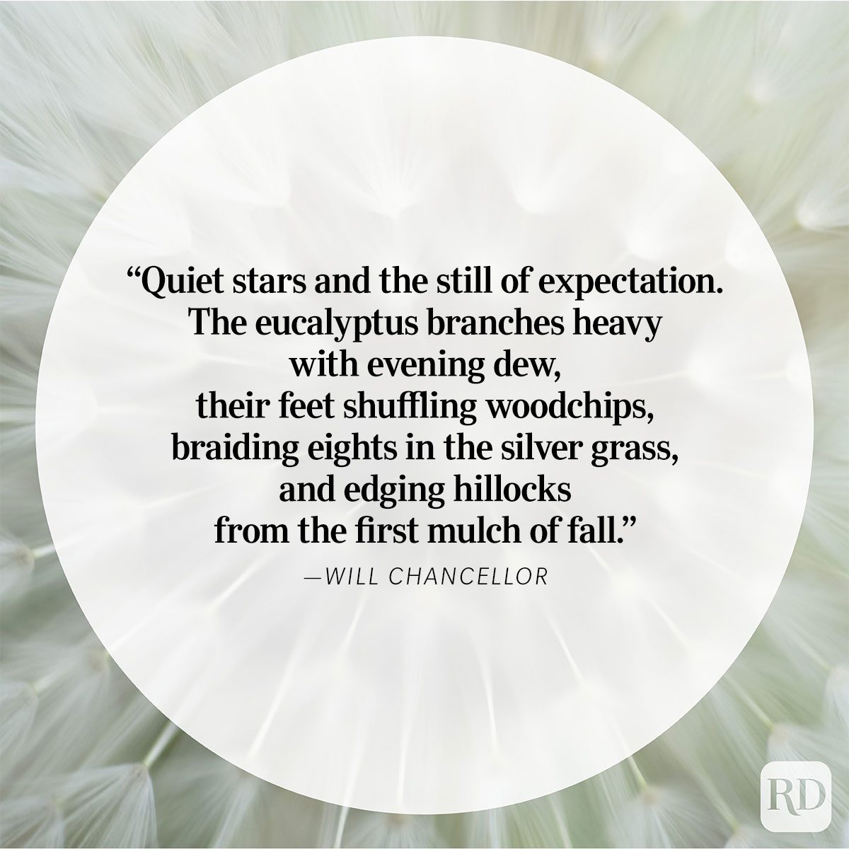 55 Beautiful Nature Quotes That Sing Mother Earth's Praises 22