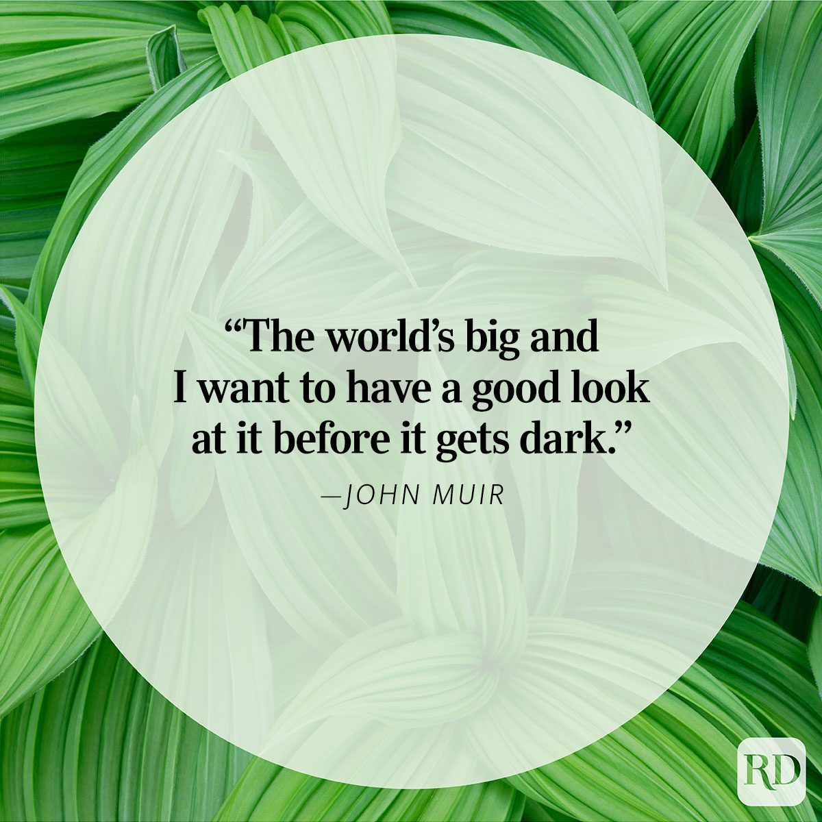 Nature Quote By John Muir