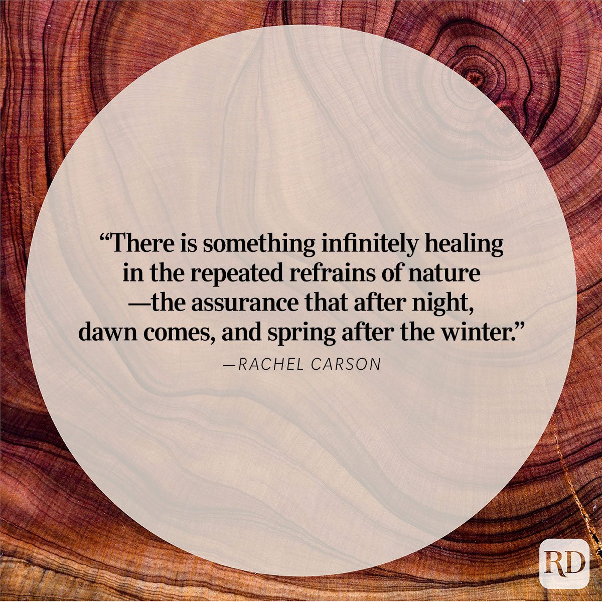 Nature Quote By Rachel Carson
