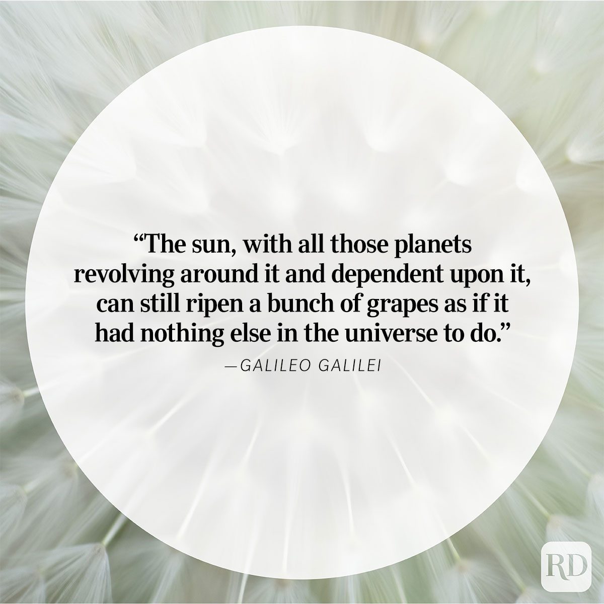 Nature Quote By Galileo Galilei