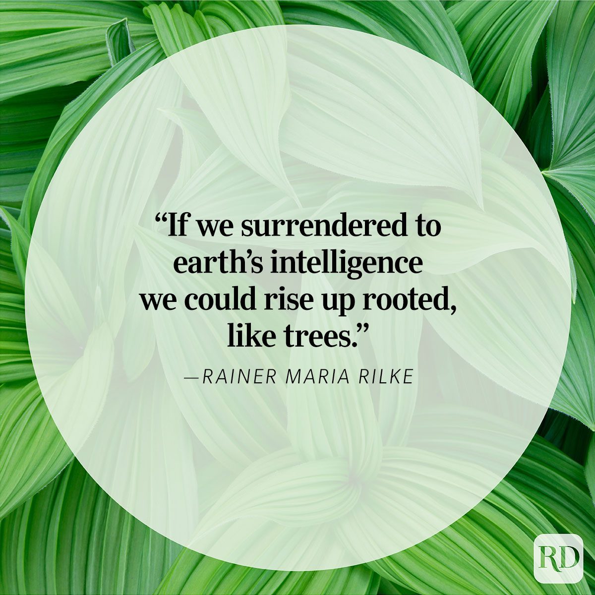 Nature Quote By Rainer Maria Rilke