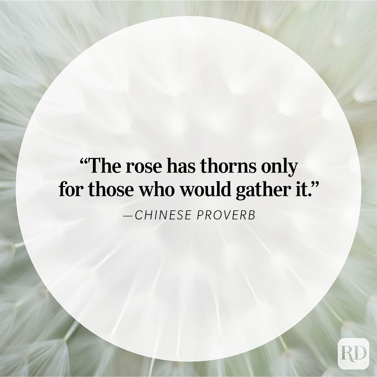 Nature Quote Chinese proverb