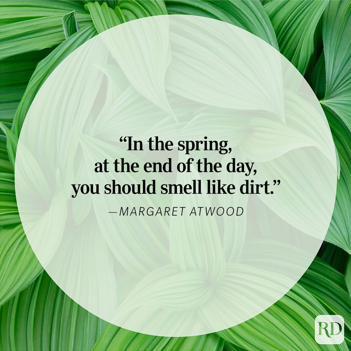 Nature Quote By Margaret Atwood