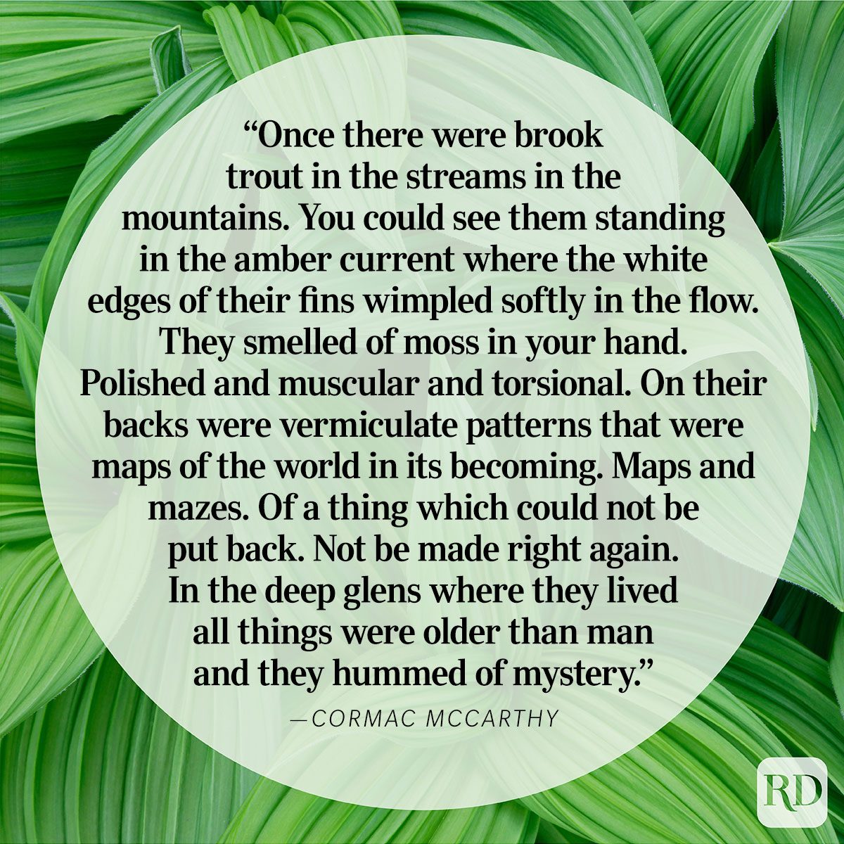 Nature Quote By Cormac McCarthy