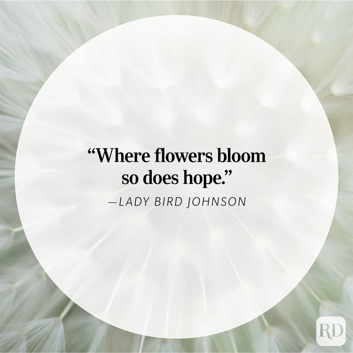 Nature Quote By Lady Bird Johnson
